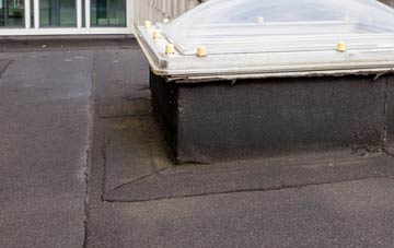 disadvantages of Trewennan flat roofs